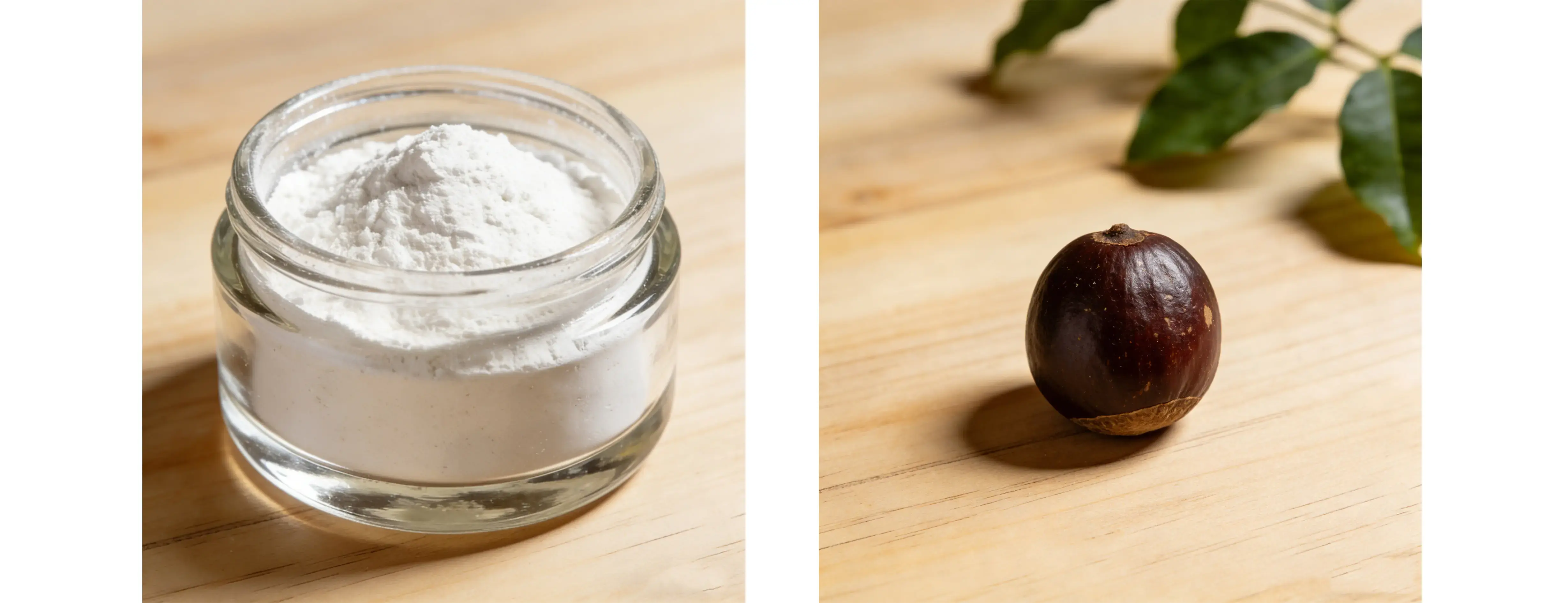 Guarana Seed Extract Guarana Seed Extract