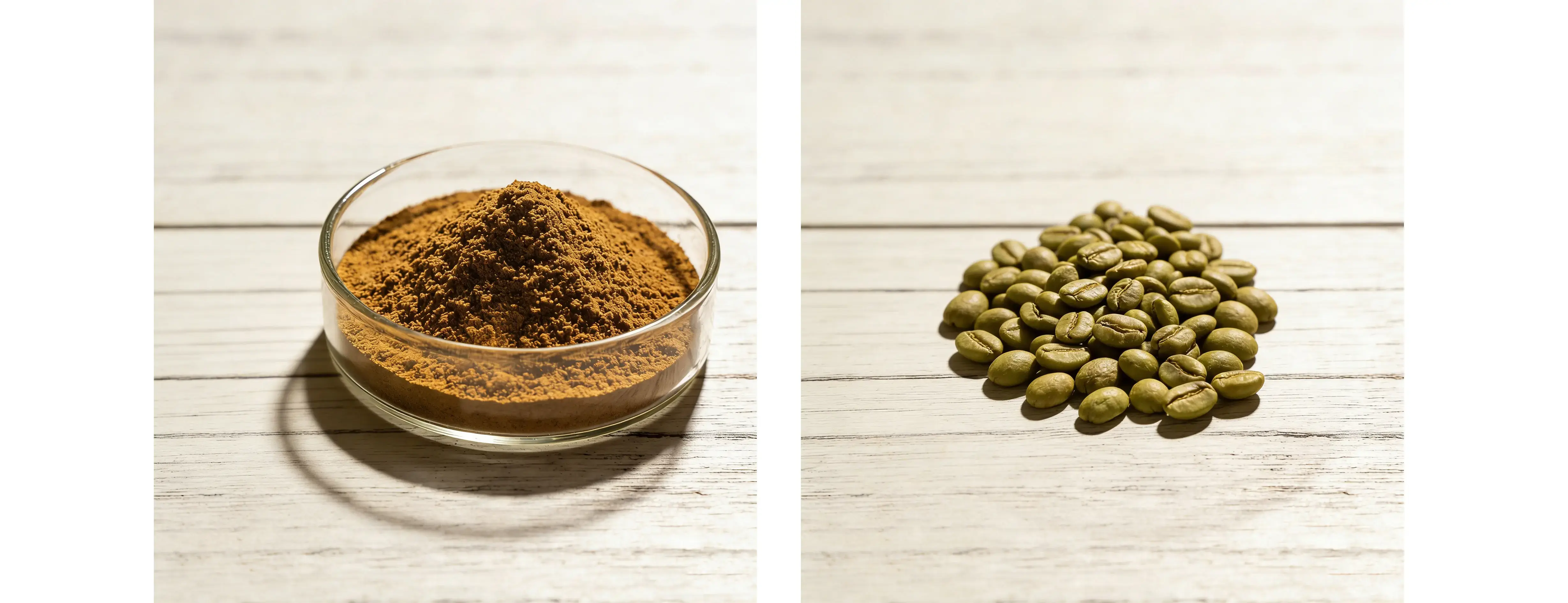Green Coffee Bean Extract Green Coffee Bean Extract